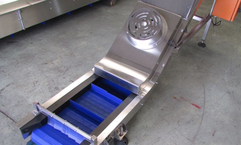 Modular Belt Conveyor